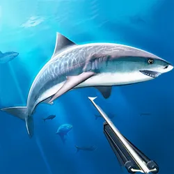 Fishing Games